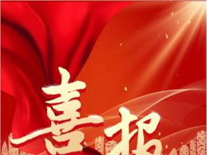 喜報！精大儀表被認定為 合肥市大數據企業(yè)